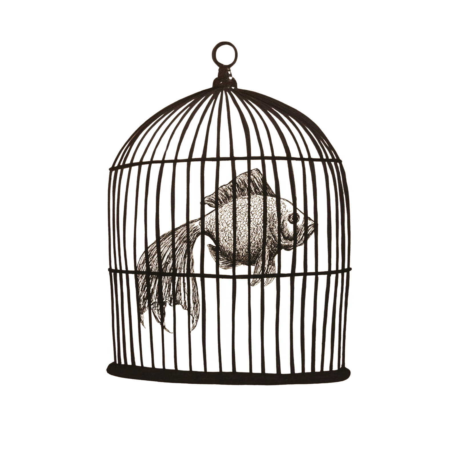 Fish in a Birdcage