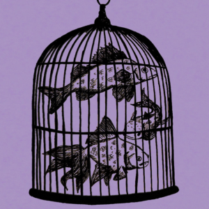 Rule #13 - Waterfall  Fish in a Birdcage / Waterfall