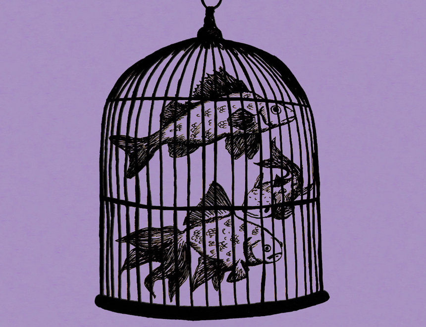 Rule #13 - Waterfall  Fish in a Birdcage / Waterfall
