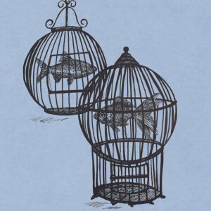 Rule 5 - James Picard  Fish in a Birdcage / Through The Tides